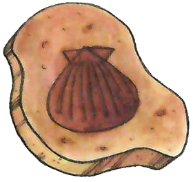 File:RG Helix Fossil.png