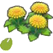 Seeds