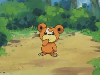 Teddiursa anime.png