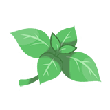 Timid Mint