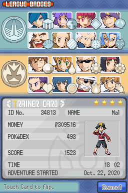 Trainer Card HGSS 4Star.png