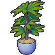 Tall potted plant