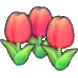Cute flowers