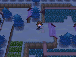 Unova Route 22 Winter B2W2.png