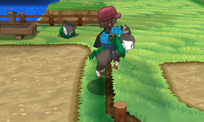 File:XY Riding Skiddo.png
