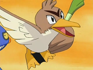 Farfetch'd (Pokémon) - Bulbapedia, the community-driven Pokémon