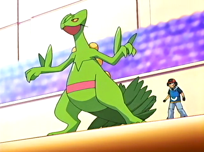 File:Ash and Sceptile.png - Bulbagarden Archives