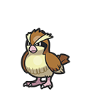 Pidgey