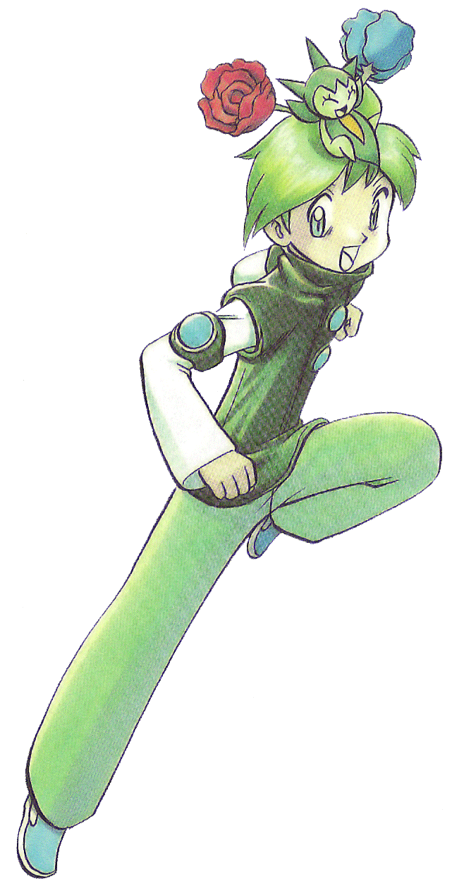 Emerald's hair is so good.  Pokemon adventures manga, Pokemon