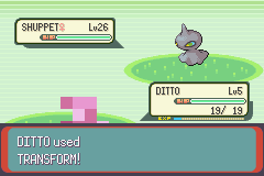 Ditto used transform! : r/pokemon