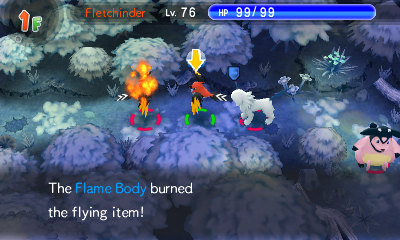 File:Flame Body PSMD.png