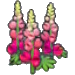 Robust flower