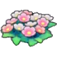 Wildflowers
