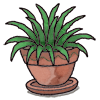DW Spiky Plant.png