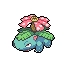 Venusaur (Pokémon)