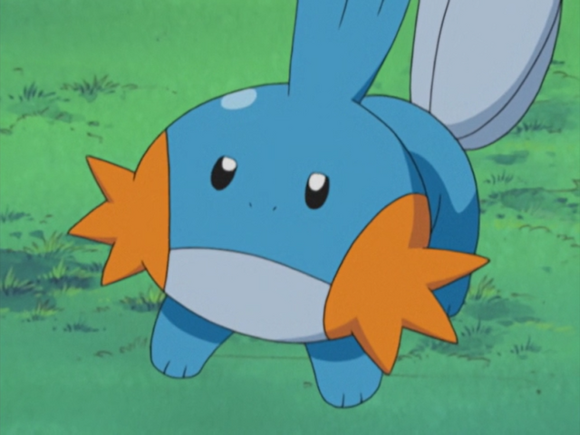 File:Brock Mudkip debut.png