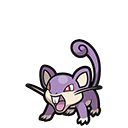 Rattata