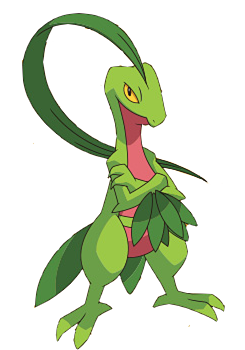 File:253Grovyle XY anime.png