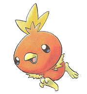 Sapphire's Torchic