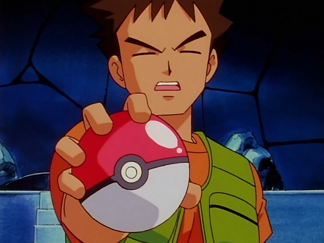 How many Pokemon does Brock have? - Quora