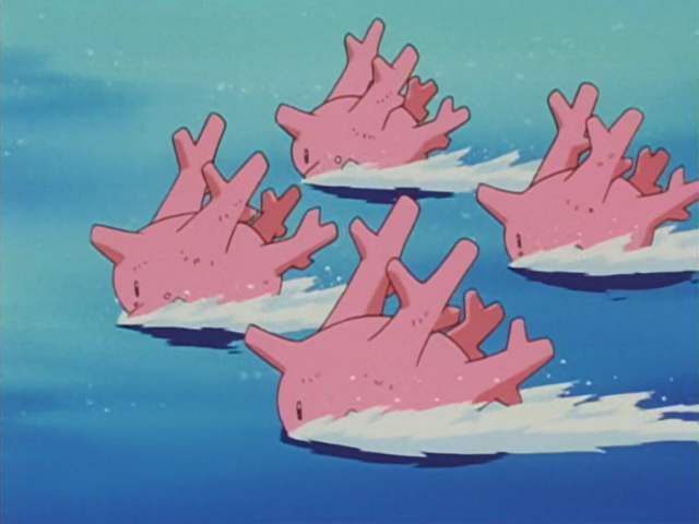 File:Pudgy Pidgey Isle Corsola.png