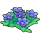 Mountain flowers