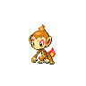 User:Tommy-SAN's Chimchar