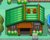 File:Trainer House outside HGSS.png