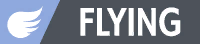 File:FlyingIC.png