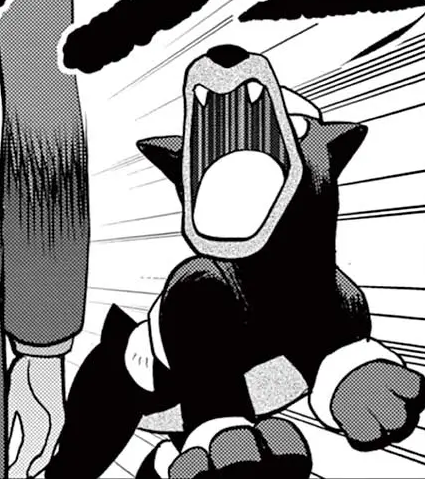 File:Team Star Navi Squad Houndour Adventures.png