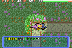 Megahorn PMD RB.png