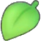 Leaf