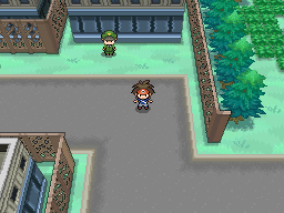 File:Dropped Item Route 16.png