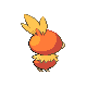 Torchic female back