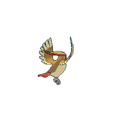 Pidgeot  Pokédex