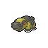 Hippowdon (Pokémon)