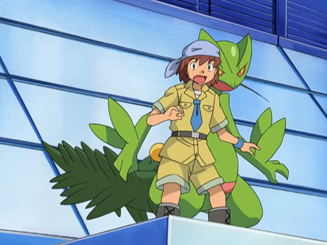 File:Sceptile Samuel shield.png