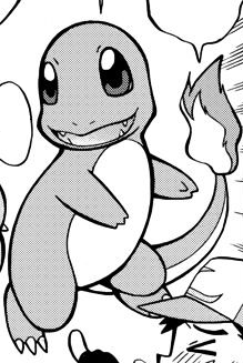 Oak Charmander ICYR.png