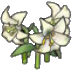 Elegant flower
