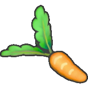 Fresh carrot
