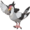 520Tranquill.png