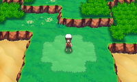 Mirage Island west of Route 104 ORAS.png