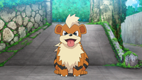 Officer Jenny's Growlithe