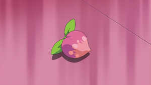 Pecha Berry anime.png