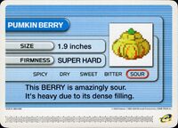 Pumkin Berry.jpg