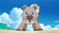 Ash's Rockruff