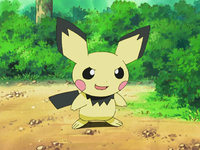 Sho's Pichu