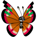 Archipelago Vivillon