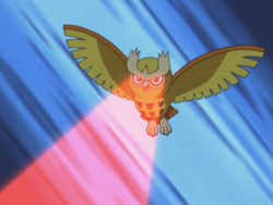 Ash Noctowl Foresight.png
