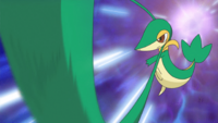 Ash Snivy Vine Whip.png